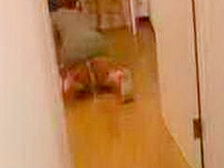 Japanese Housewife Nippon Nights XXX Porn